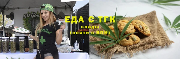 индика Нефтекумск