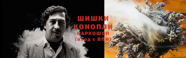 ПСИЛОЦИБИНОВЫЕ ГРИБЫ Навашино