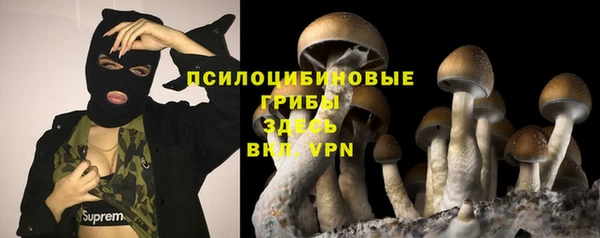 дживик Надым