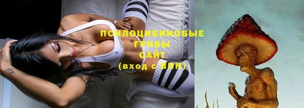 ПСИЛОЦИБИНОВЫЕ ГРИБЫ Навашино