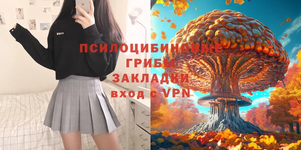 дживик Надым